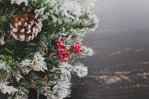 Çam kozalakları ve mistletoes ile Noel ağacı meyveleri ve ipuçları kar dalları üzerinde rahat hissediyor şenlikli kış tatili