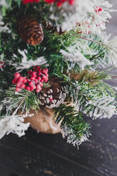 Çam kozalakları ve mistletoes ile Noel ağacı meyveleri ve ipuçları kar dalları üzerinde rahat hissediyor şenlikli kış tatili