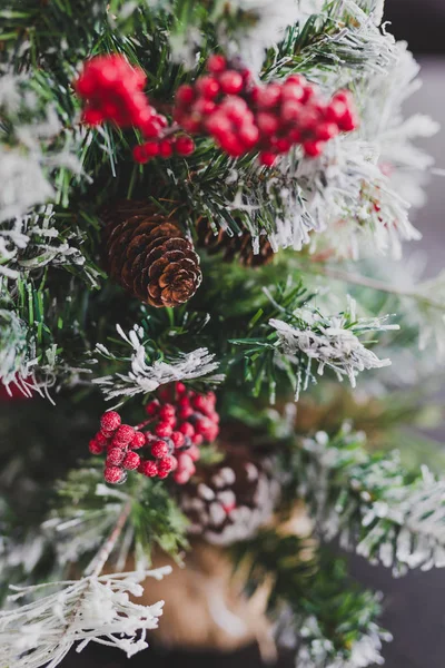 Çam kozalakları ve mistletoes ile Noel ağacı meyveleri ve ipuçları kar dalları üzerinde rahat hissediyor şenlikli kış tatili