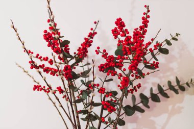 Okaliptüs kırmızı holly Karpuzu ve cottonon beyaz arka plan dekoratif Noel temalı Grup