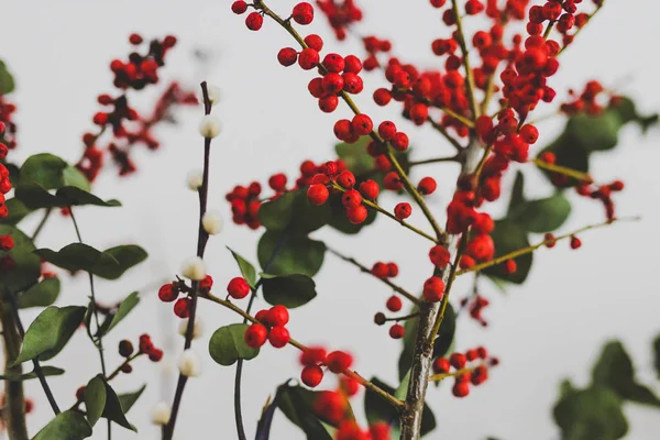 Різдвяна Тематична Група Квітів Евкаліптовими Червоними Ягідками Холлі Бавовною Білому — стокове фото