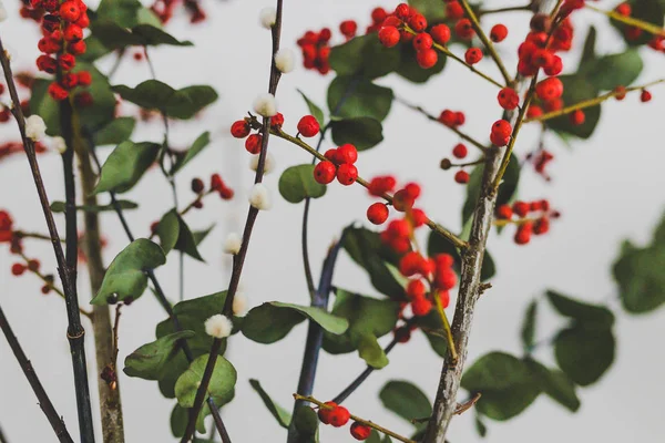 Natal Temático Monte Flores Com Eucalipto Vermelho Azevinho Bagas Algodão — Fotografia de Stock