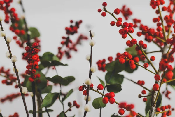 Karácsonyi Témájú Virágcsokor Eukaliptusz Piros Holly Bogyók Pamut Fehér Háttér — Stock Fotó