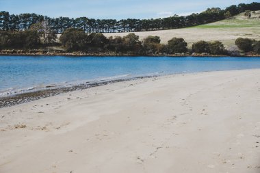 Cremorne güneşli Avustralya plaj, Tazmanya