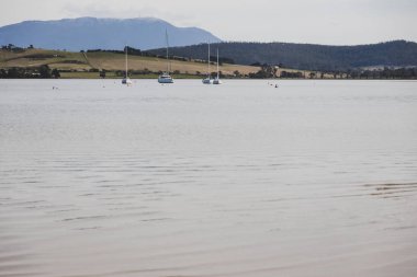 Cremorne güneşli Avustralya plaj, Tazmanya