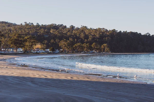 ชายหาดแทสเมเนียนดูสงบและรกร้างในตอนค่ํา — ภาพถ่ายสต็อก