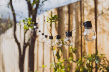 trendy küre dize ışıkları açık özel ağaçlardan asılı