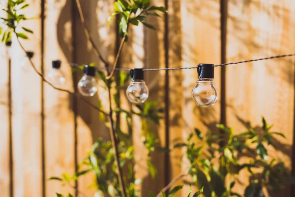 trendy globe string lights outdoor hanging from trees in private