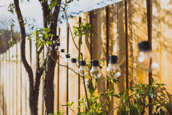 Trendy globe string lights outdoor hanging from trees in private — Stock Photo, Image