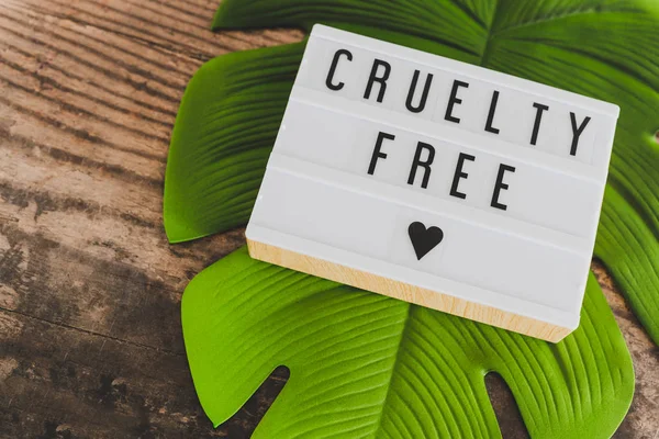 cruelty free message on lightbox with leaf and wood, concept of