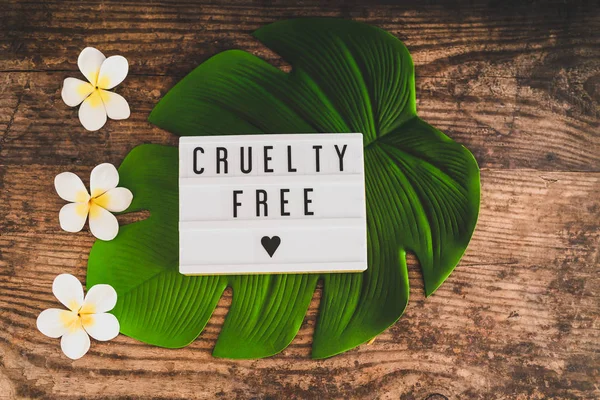 cruelty free message on lightbox vegan products and ethics