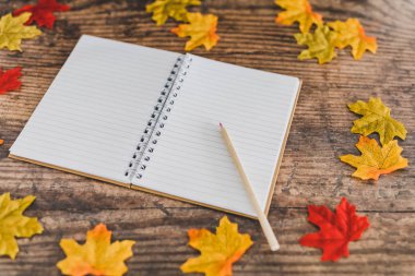 renkli kalemler notepa ile okul masa düzeni geri