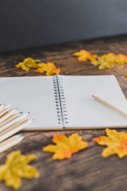 renkli kalemler notepa ile okul masa düzeni geri