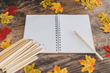 renkli kalemler notepa ile okul masa düzeni geri