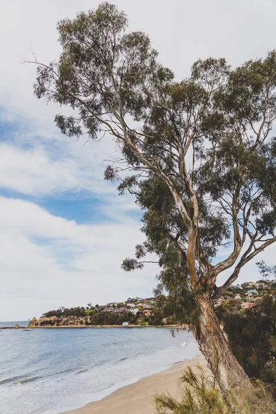 Paisagem de praia em Blackmans Bay, na Tasmânia — Fotografia de Stock