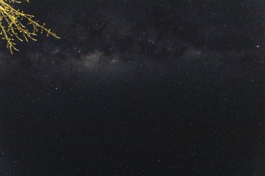 samanyolu ve güney hemis görünür takımyıldızları