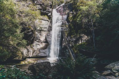 Tasm bir yürüyüş sırasında gizli şelaleler ve vahşi Avustralya çalı