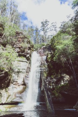 Tasm bir yürüyüş sırasında gizli şelaleler ve vahşi Avustralya çalı