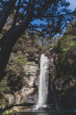 Tasm bir yürüyüş sırasında gizli şelaleler ve vahşi Avustralya çalı