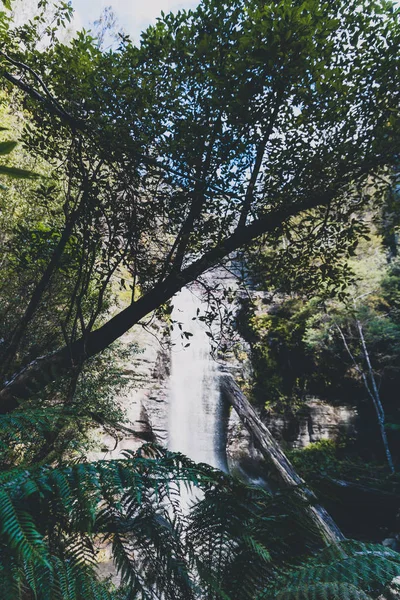 Cascadas ocultas y arbustos salvajes australianos durante una caminata en Tasm — Foto de Stock