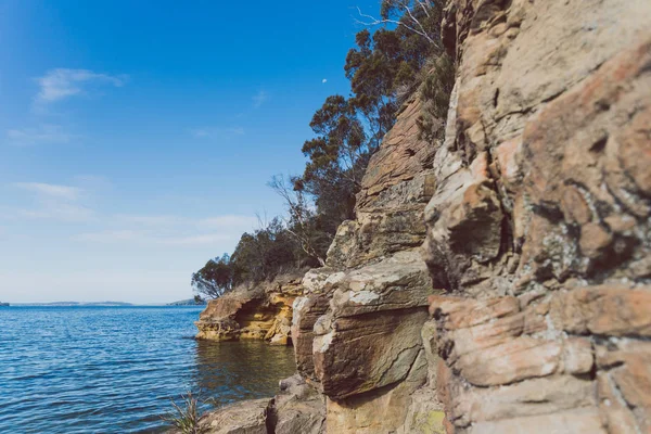 태즈메이니아, 오스트레일리아의 코닝햄 비치와 그 자연 그대로의 전망 — 스톡 사진
