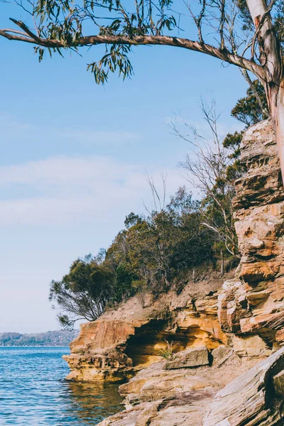 Blick auf den Strand von Conningham in Tasmanien, Australien und seine unberührte Natur — Stockfoto