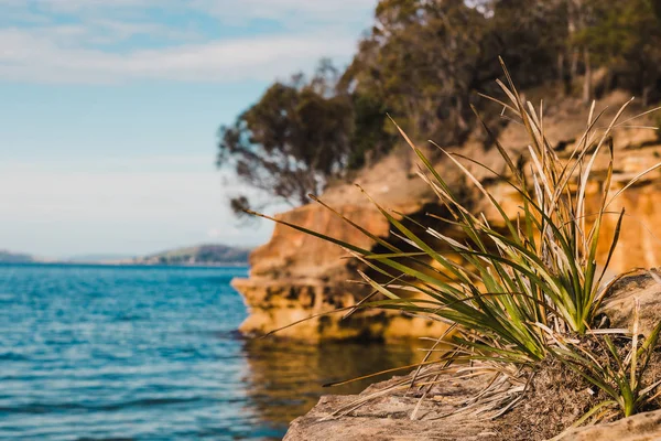 Вид на пляж Коннингем в Тасмании, Австралия, и его первозданный вид — стоковое фото