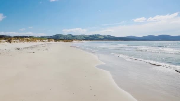 Deserted Sunny Beach Marion Bay Tasmania Australia Gentle Ocean Waves — Stock Video