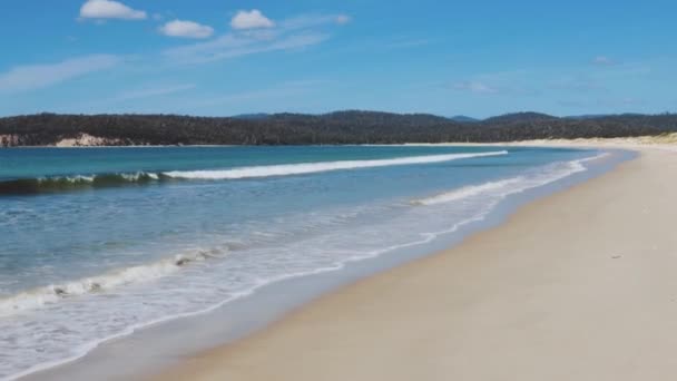 Prístina Playa Desierta Marion Bay Largo Costa Tasmania Australia Con — Vídeo de stock