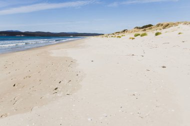 Güney Pasifik'e bakan güneşli el değmemiş ve ıssız plaj 