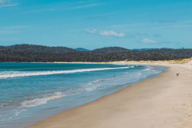 Güney Pasifik'e bakan güneşli el değmemiş ve ıssız plaj 
