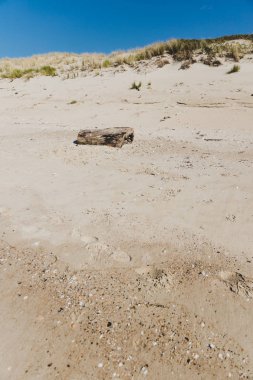 Marion Körfezi'nde ıssız plaj boyunca kum tepeleri 