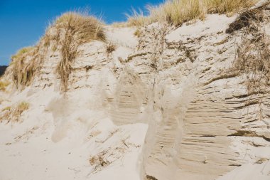 Marion Körfezi'nde ıssız plaj boyunca kum tepeleri 