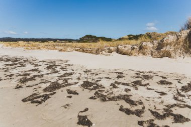 Marion Körfezi'nde ıssız plaj boyunca kum tepeleri 