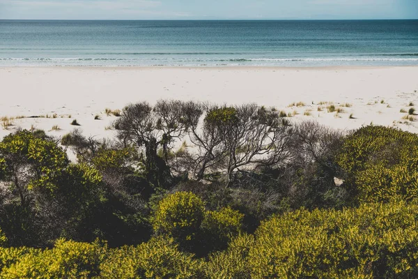 Ensolarado praia intocada e deserta com vista para o Pacífico Sul — Fotografia de Stock