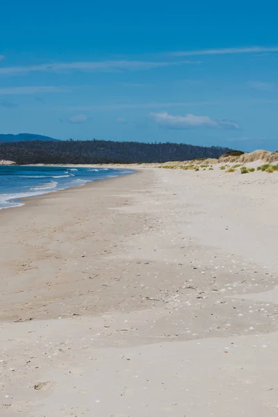 Ensolarado praia intocada e deserta com vista para o Pacífico Sul — Fotografia de Stock