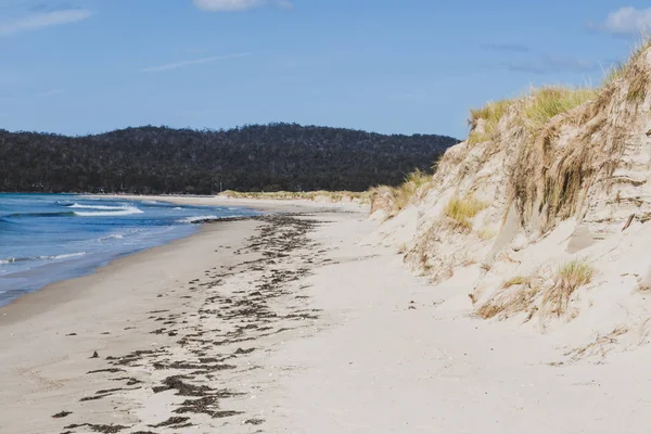 Playa soleada prístina y desierta con vistas al Pacífico Sur — Foto de Stock