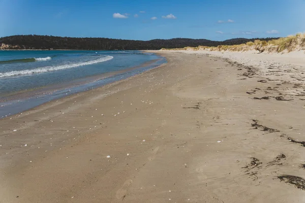 Playa soleada prístina y desierta con vistas al Pacífico Sur — Foto de Stock