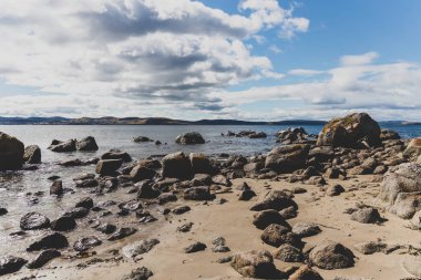 bir Tazmanya Avustralya'da sağlam ve güzel küçük plaj