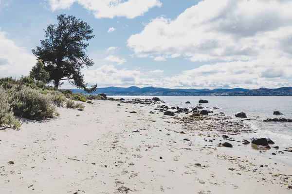 태즈메이니아 오스트레일리아의 견고하고 아름다운 작은 해변 — 스톡 사진