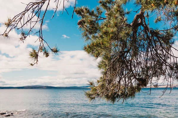 Pantai kecil yang kasar dan indah di Tasmania Australia di — Stok Foto