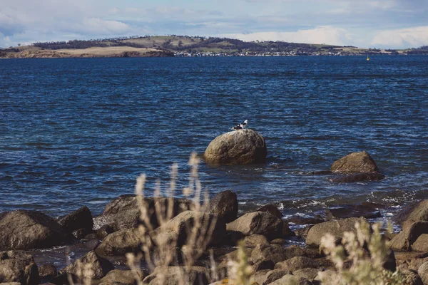 Escarpada y hermosa pequeña playa en Tasmania Australia en el —  Fotos de Stock