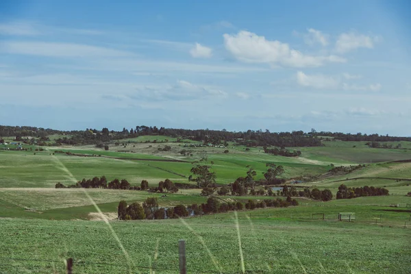 Countryside Tasmania with green fields and agricultural exploita — Stock Photo, Image