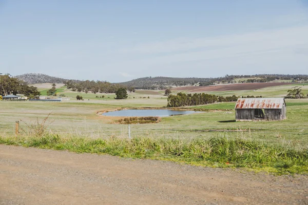 Campagne Tasmanie avec des champs verts et exploitation agricole — Photo