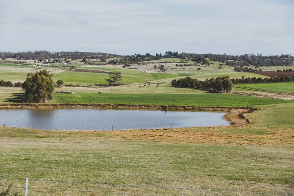 Campagne Tasmanie avec des champs verts et exploitation agricole — Photo