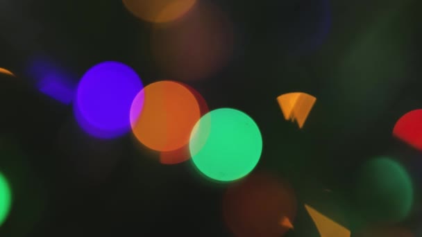 Funny Palm Plant Decorated Christmas Lights Scene Going Out Focus — Wideo stockowe