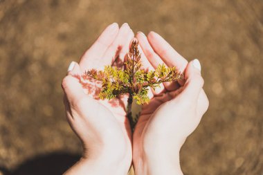 Çevreyi ya da bahçeyi sevmek, küçük yaprakları avuçlamak...