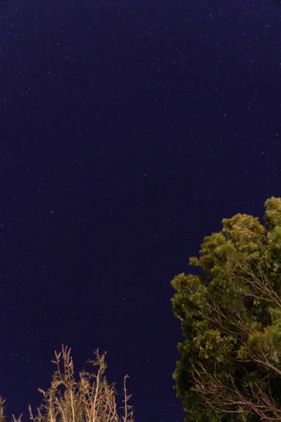 Heldere sterrenhemel met sterrenbeelden gezien vanuit het zuiden — Stockfoto