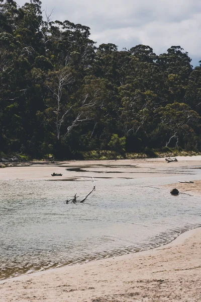 pristine Australian coastline and beach landscape in Tasmania