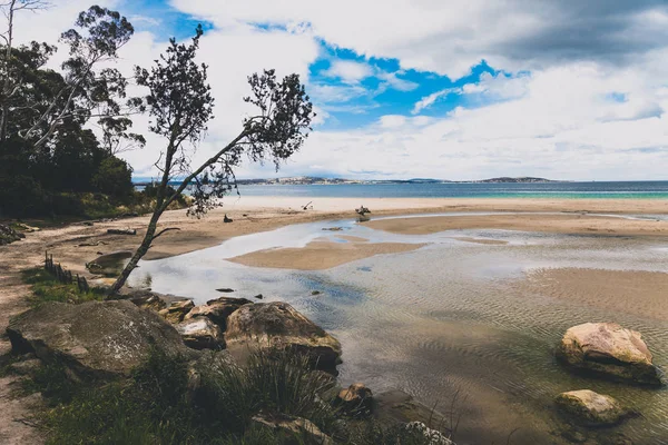 Tazmanya 'daki el değmemiş Avustralya kıyıları ve plaj manzarası — Stok fotoğraf